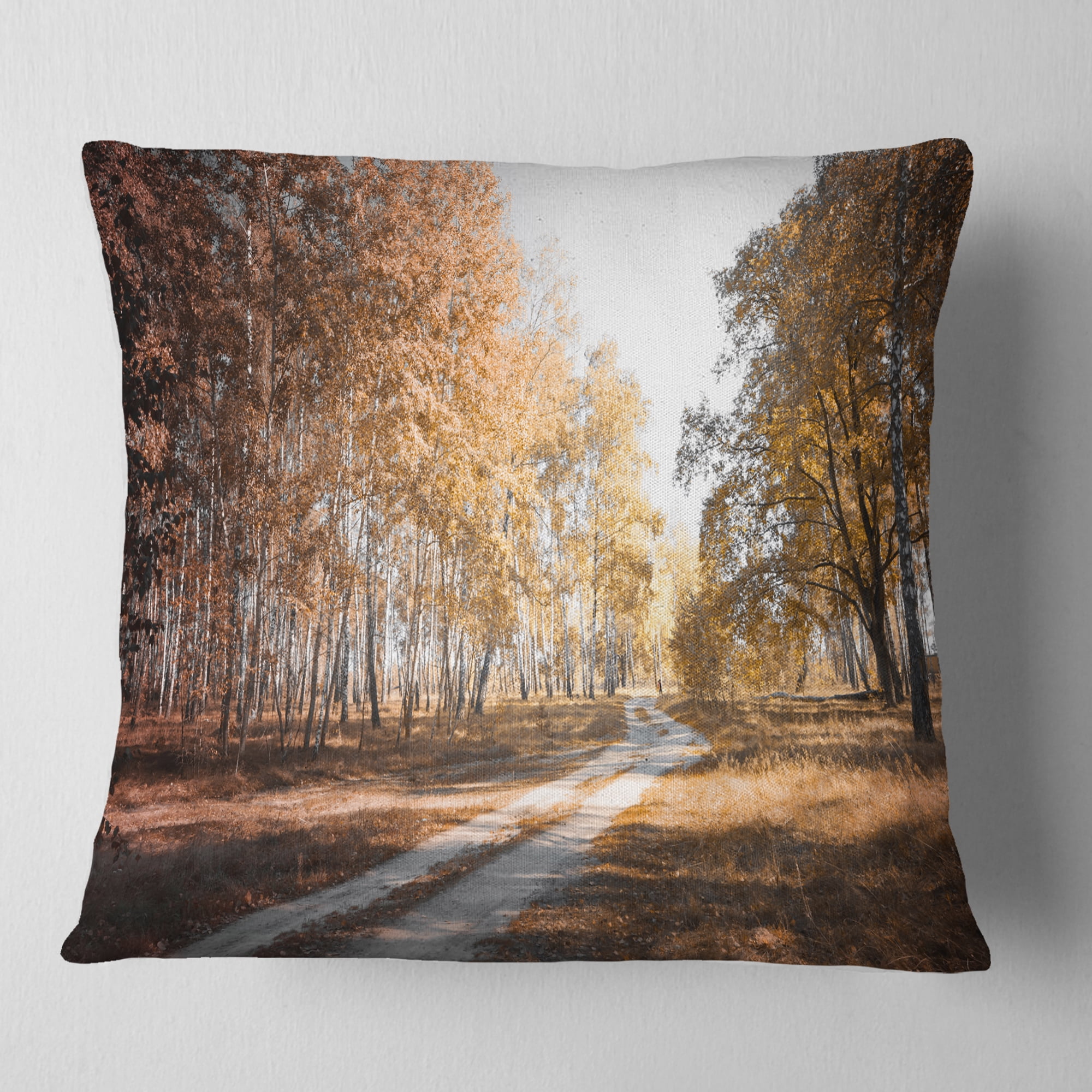 Designart Straight Road in Fall Birch Grove - Modern Forest Throw Pillow - 18x18