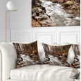 thumbnail image 1 of Designart Stream in Autumn Forest - Landscape Photography Throw Pillow - 16x16, 1 of 5