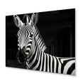 thumbnail image 1 of Designart "Striking Patterns on a Zebra I" Animals Metal Wall Art, 1 of 5