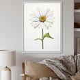 thumbnail image 1 of Designart "Sublime Simplicity with White Daisies I" Floral Floater Framed Wall Art Living Room, 1 of 7