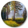thumbnail image 1 of Designart 'Subtle Sunset Light Through The Trees III' Lake House Circle Metal Wall Art 36x36 - Disc of 36, 1 of 5