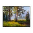 thumbnail image 1 of Designart 'Subtle Sunset Light Through The Trees III' Lake House Framed Canvas Wall Art Print, 1 of 5
