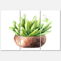 Designart ' Succulent Flower In Terracotta Clypot I ' Traditional Canvas Wall Art Print