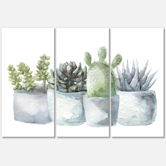 Designart ' Succulent and Cactus House Plants I ' Farmhouse Canvas Wall Art Print