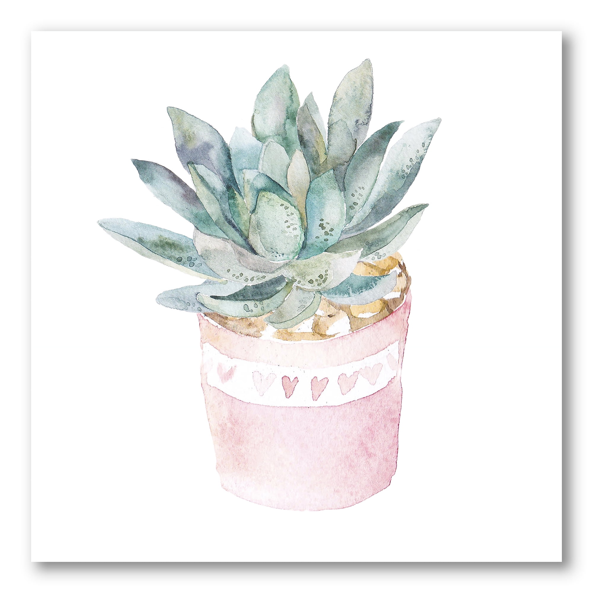 Designart ' Succulent and Cactus House Plants II ' Farmhouse Canvas Wall Art Print