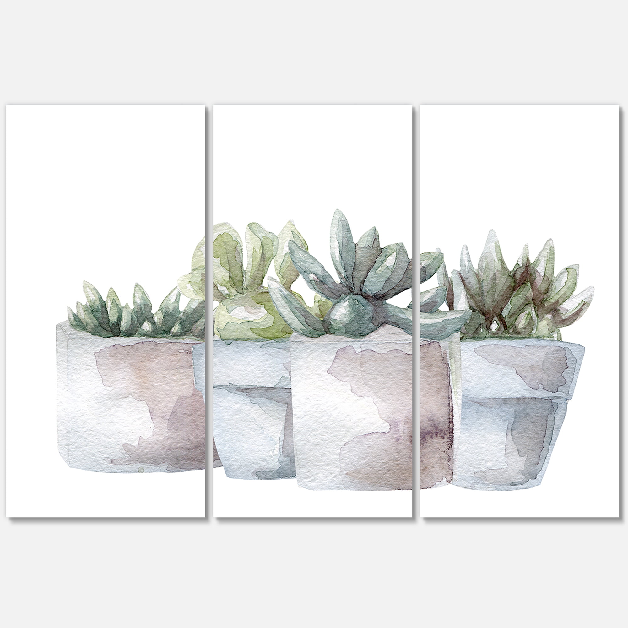 Designart ' Succulent and Cactus House Plants III ' Farmhouse Canvas Wall Art Print