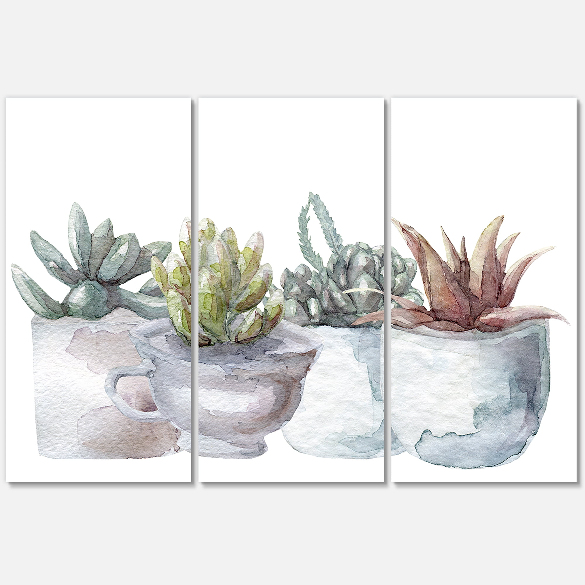Designart ' Succulent and Cactus House Plants IV ' Farmhouse Canvas Wall Art Print