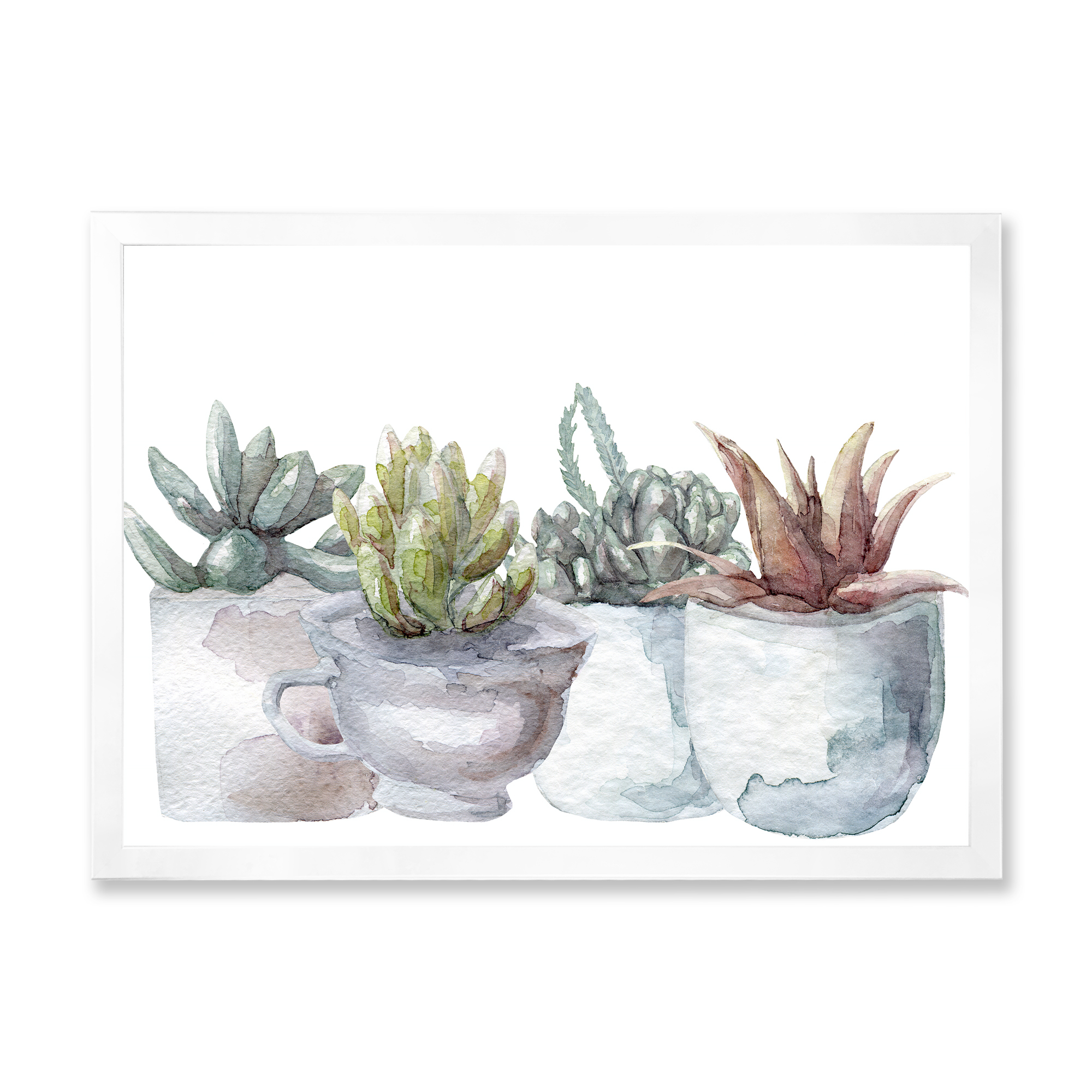 Designart 'Succulent and Cactus House Plants IV' Farmhouse Framed Art Print