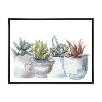 Designart 'Succulent and Cactus House Plants IV' Farmhouse Framed Canvas Wall Art Print