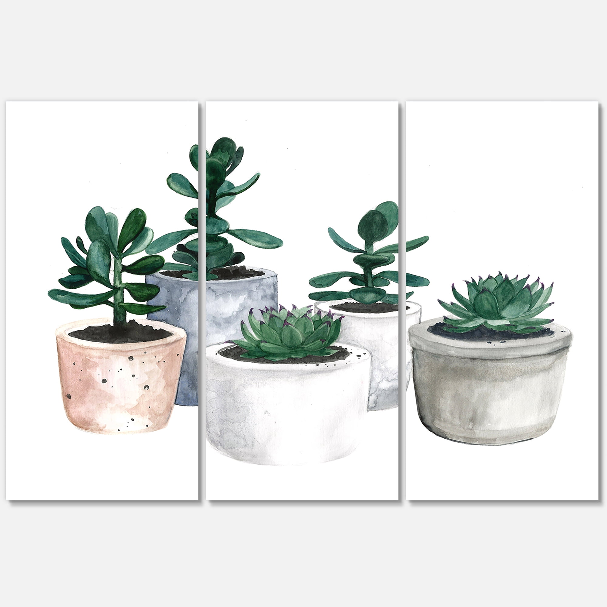 Designart ' Succulent and Cactus House Plants VI ' Farmhouse Canvas Wall Art Print