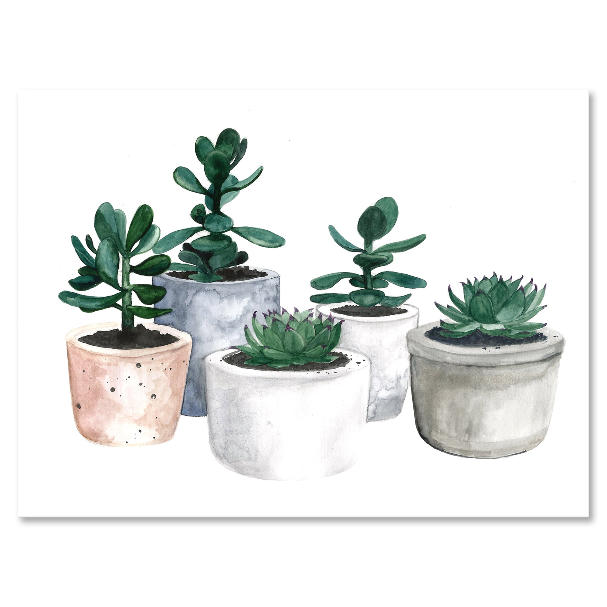 Designart ' Succulent and Cactus House Plants VI ' Farmhouse Canvas Wall Art Print
