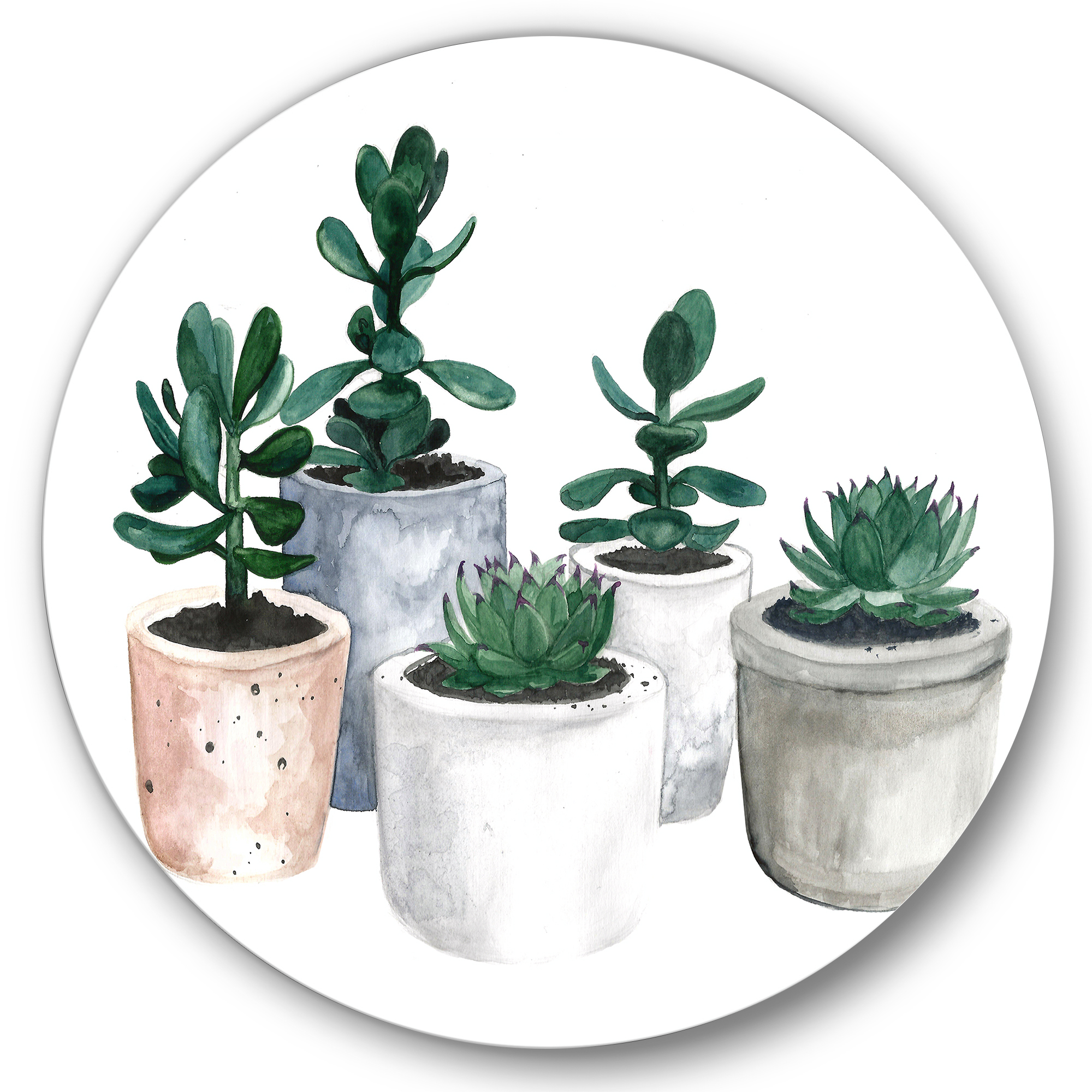 Designart 'Succulent and Cactus House Plants VI' Farmhouse Circle Metal Wall Art 23x23 - Disc of 23