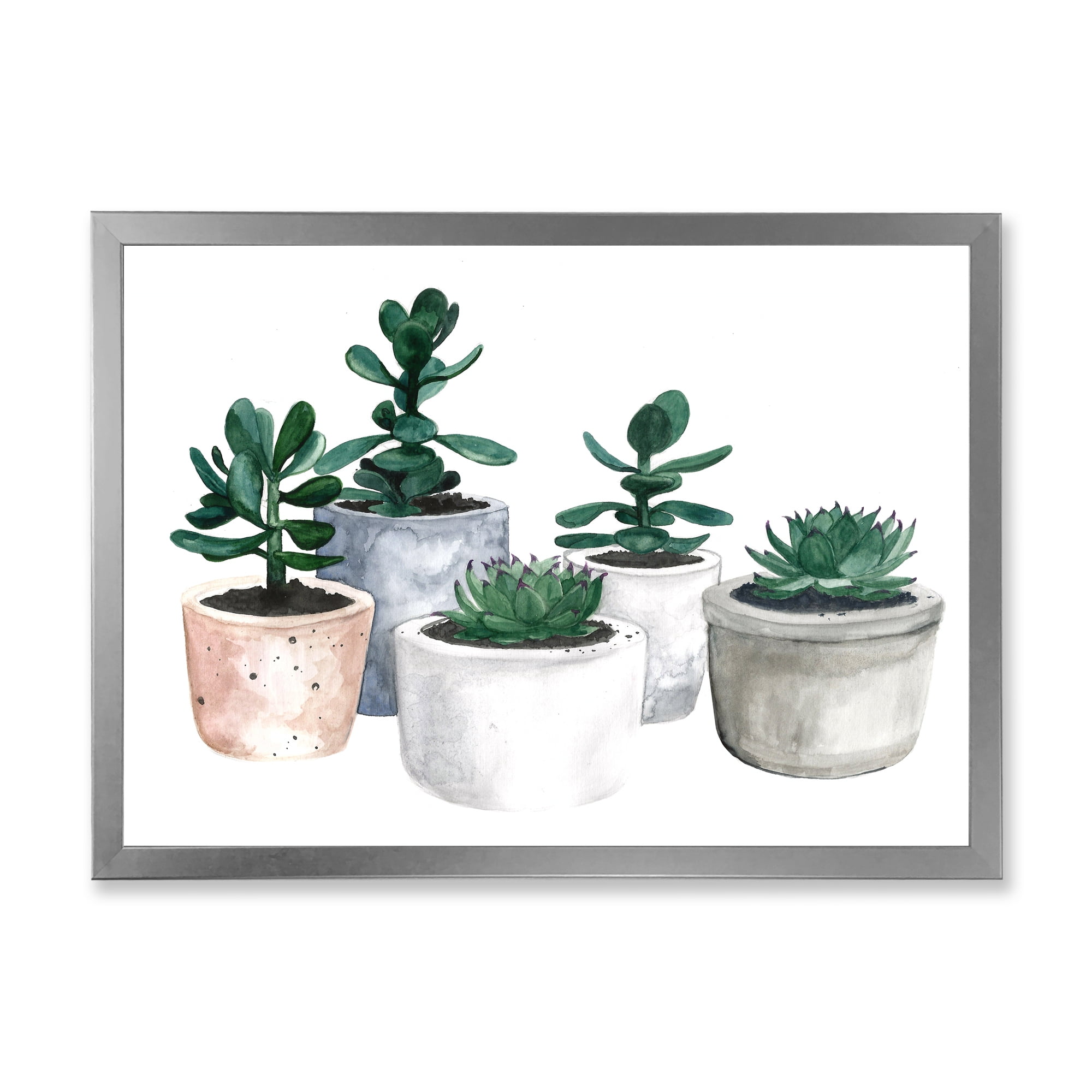 Designart 'Succulent and Cactus House Plants VI' Farmhouse Framed Art Print