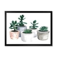 thumbnail image 1 of Designart 'Succulent and Cactus House Plants VI' Farmhouse Framed Art Print, 1 of 4