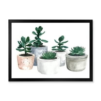 Designart 'Succulent and Cactus House Plants VI' Farmhouse Framed Art Print