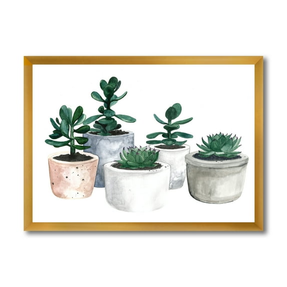 Designart 'Succulent and Cactus House Plants VI' Farmhouse Framed Art Print