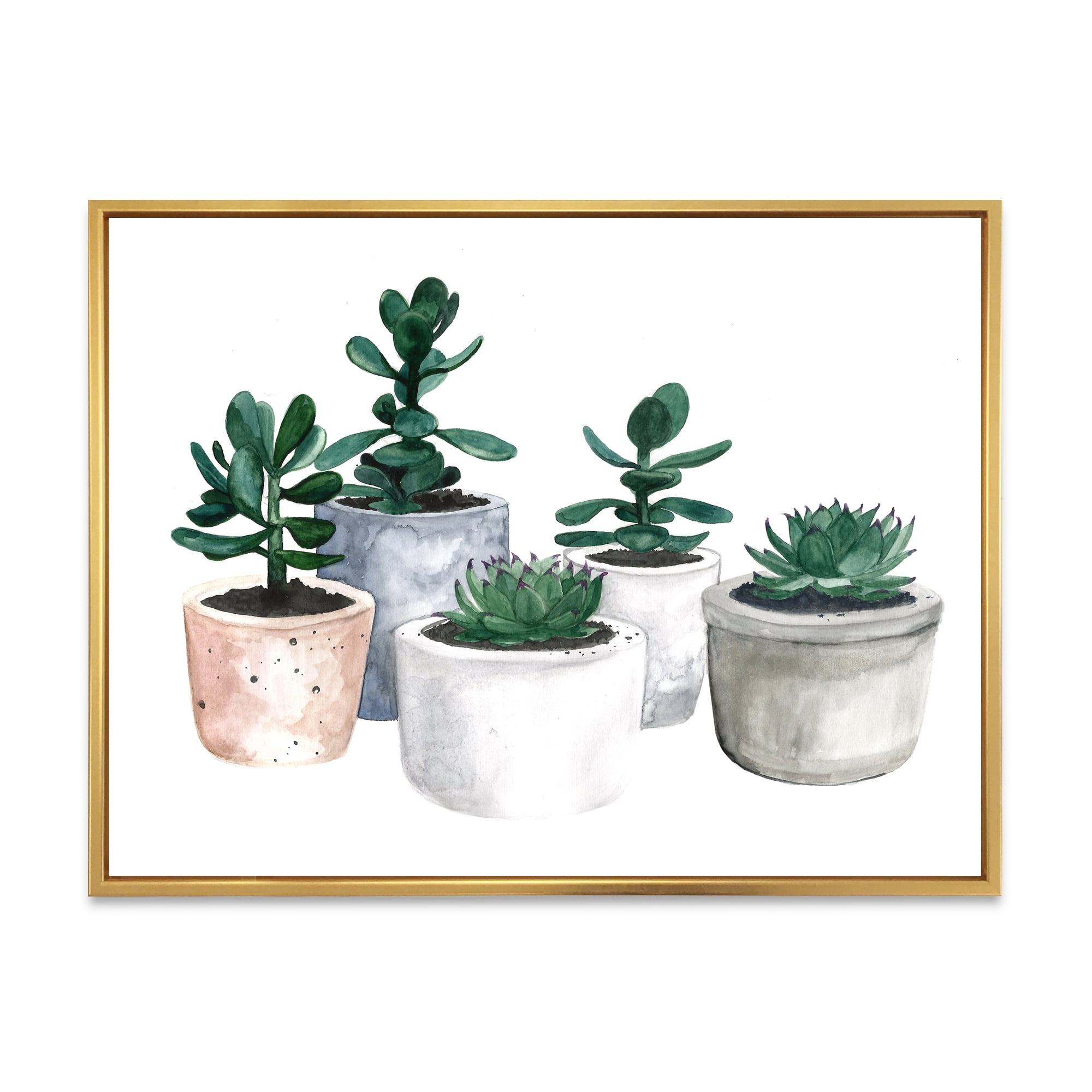 Designart 'Succulent and Cactus House Plants VI' Farmhouse Framed Canvas Wall Art Print