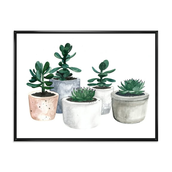 Designart 'Succulent and Cactus House Plants VI' Farmhouse Framed Canvas Wall Art Print