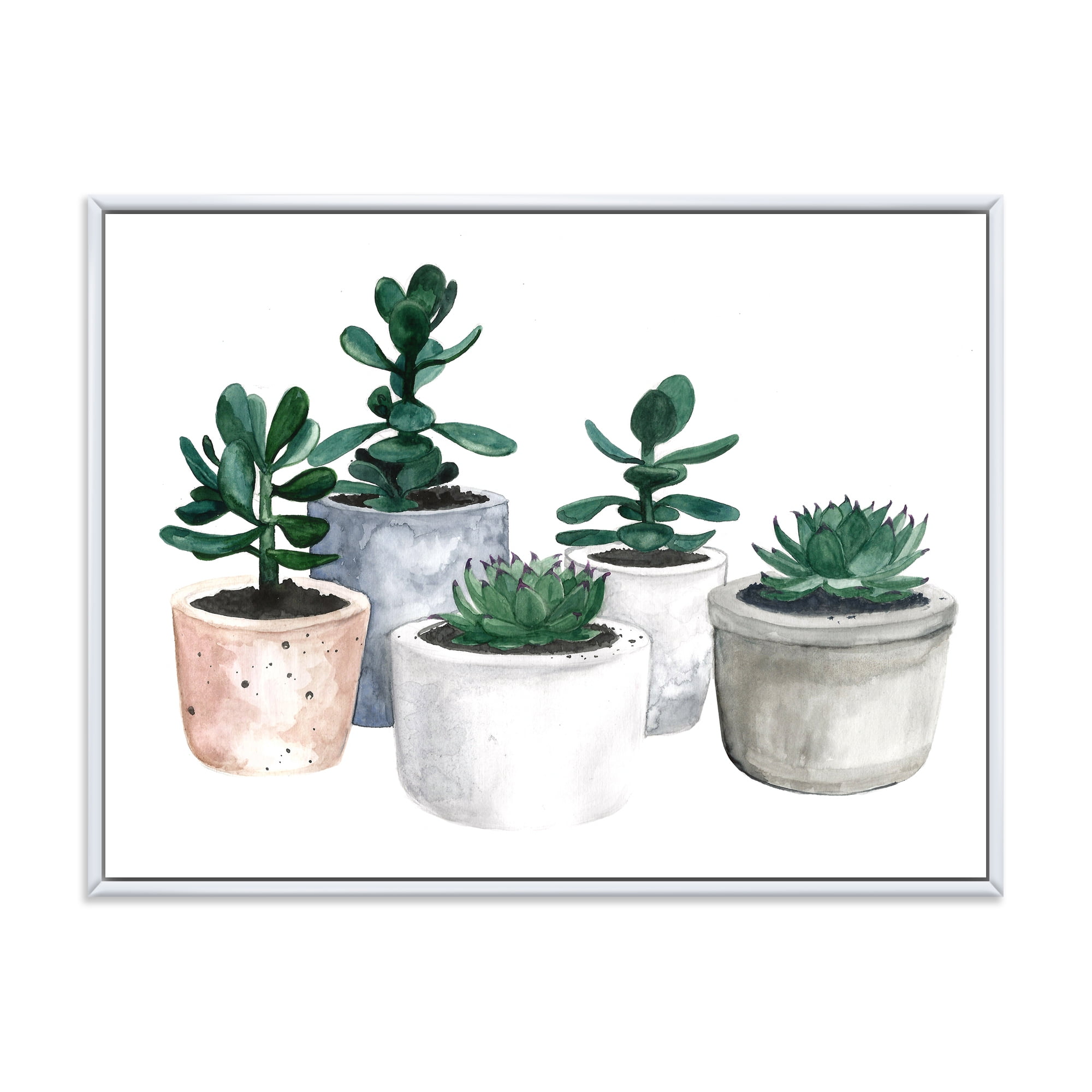 Designart 'Succulent and Cactus House Plants VI' Farmhouse Framed Canvas Wall Art Print