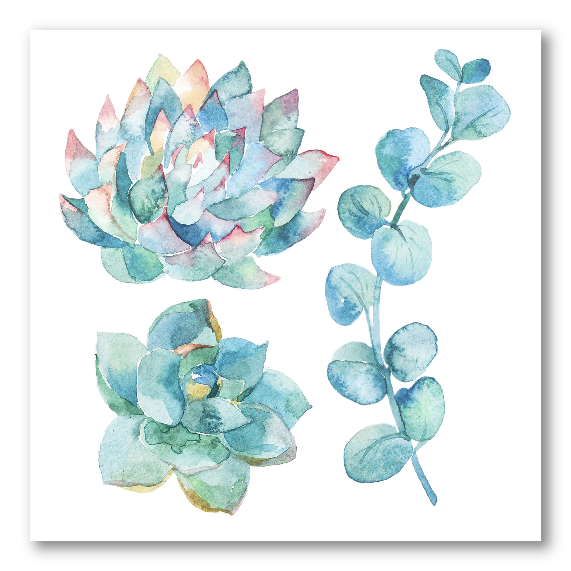 Designart ' Succulents and Eucalyptus Leaves ' Traditional Canvas Wall Art Print