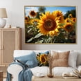 thumbnail image 1 of Designart "Sunflowers landscape Vibrant Yellow III" Floral Floater Framed Wall Decor, 1 of 7