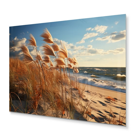 Designart "Sunkissed Sands Beach Grass III" Landscapes Metal Wall Art Prints