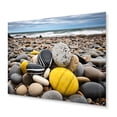 thumbnail image 1 of Designart "Sunlit Shadow Shore Conch" Nautical & Beach Metal Wall Decor, 1 of 5