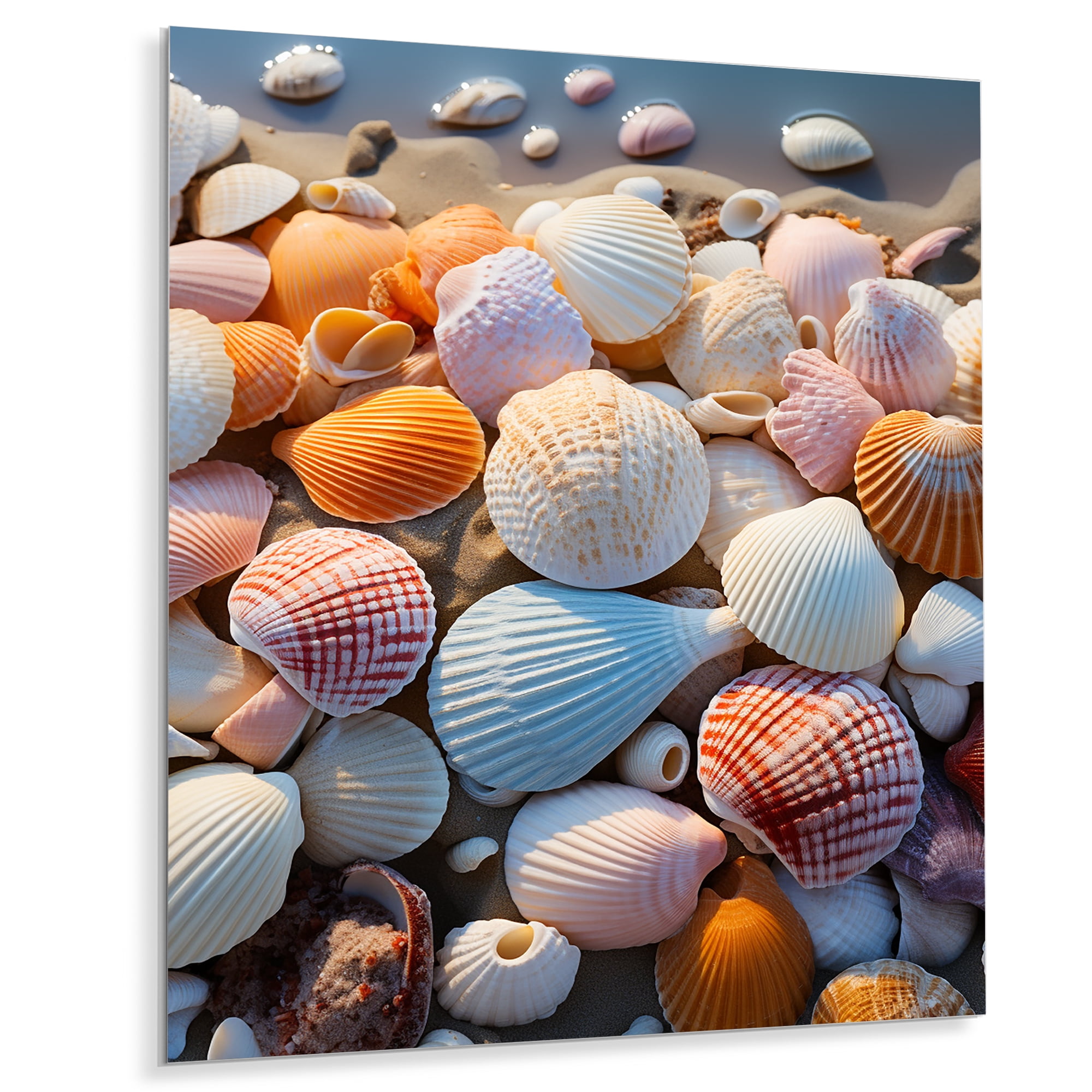 Shell Wall Cover Designart