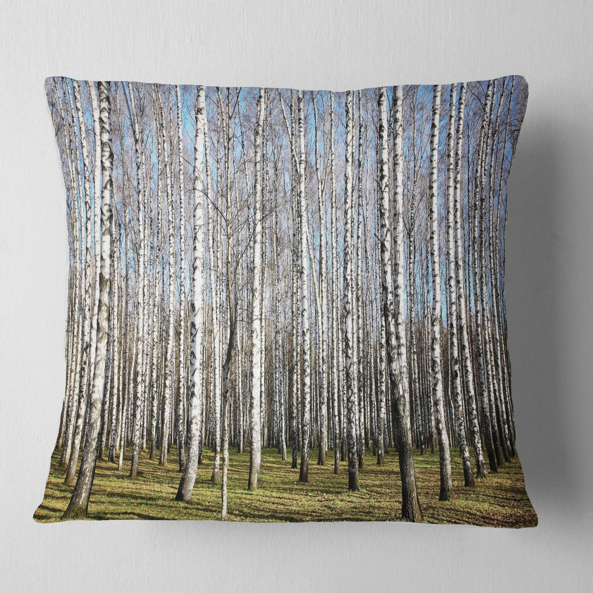 Designart Sunny November Day in Birch Grow - Modern Forest Throw Pillow - 18x18