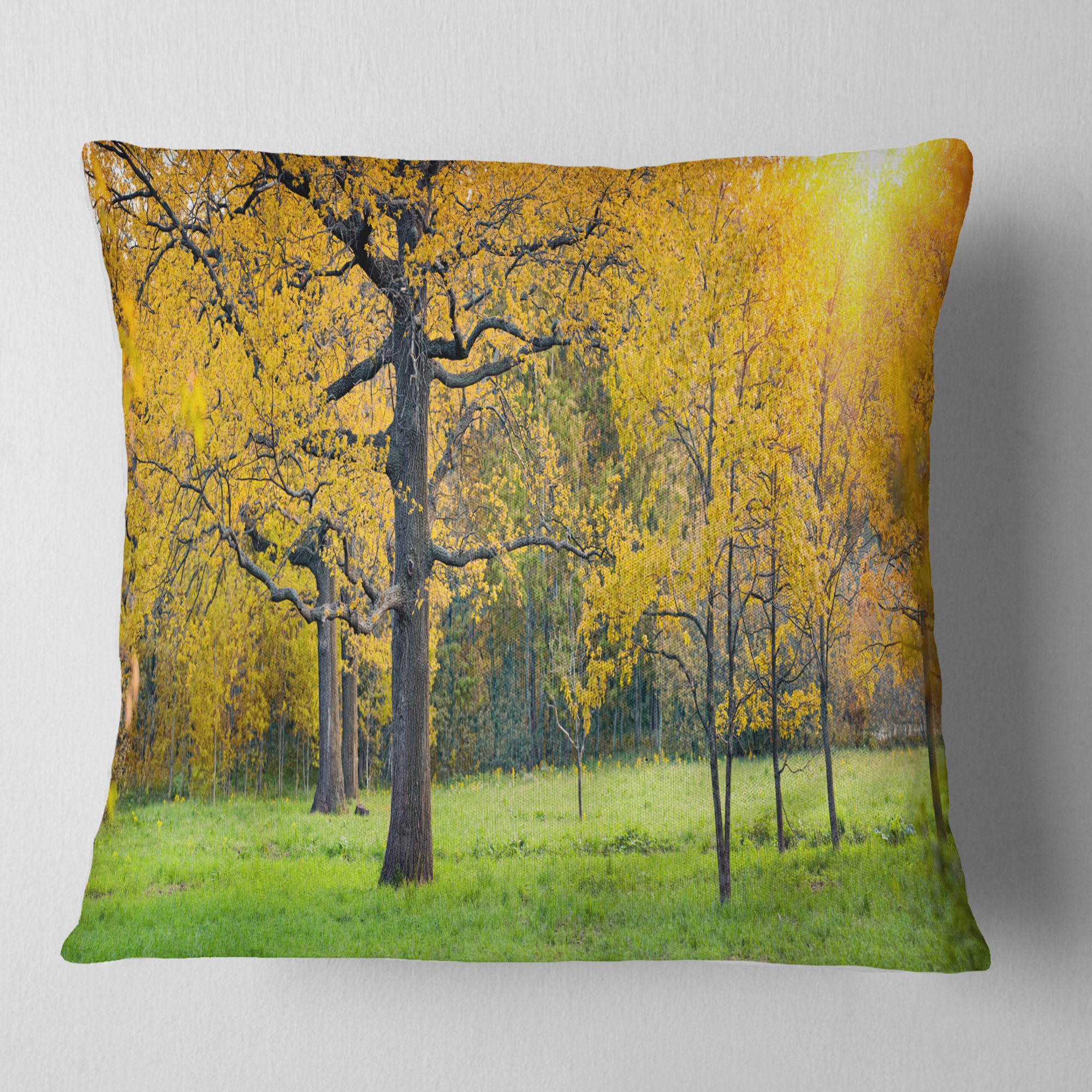 Designart Sunny Park with Oak Panorama - Landscape Printed Throw Pillow - 18x18