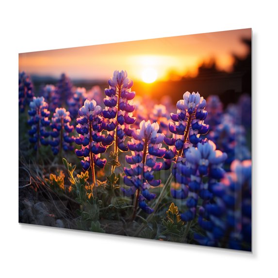 Designart "Sunrise Blue Bonnets landscape II" Blue Bonnets Metal Wall Art Prints