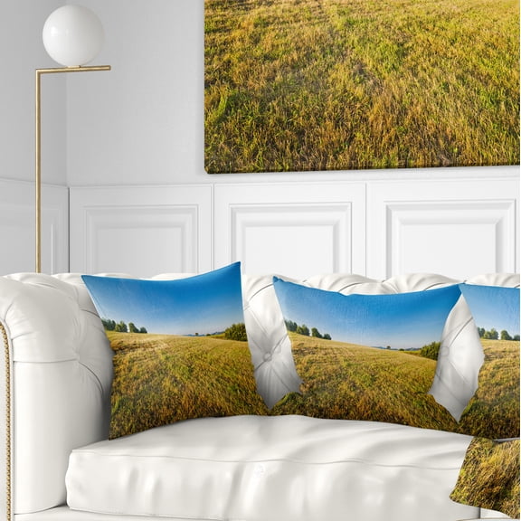 Designart Sunrise Over Green Mountains - Landscape Photo Throw Pillow - 16x16