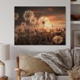 thumbnail image 1 of Designart "Sunset Dandelion landscape III" Floral Print on Natural Pine Wood, 1 of 5