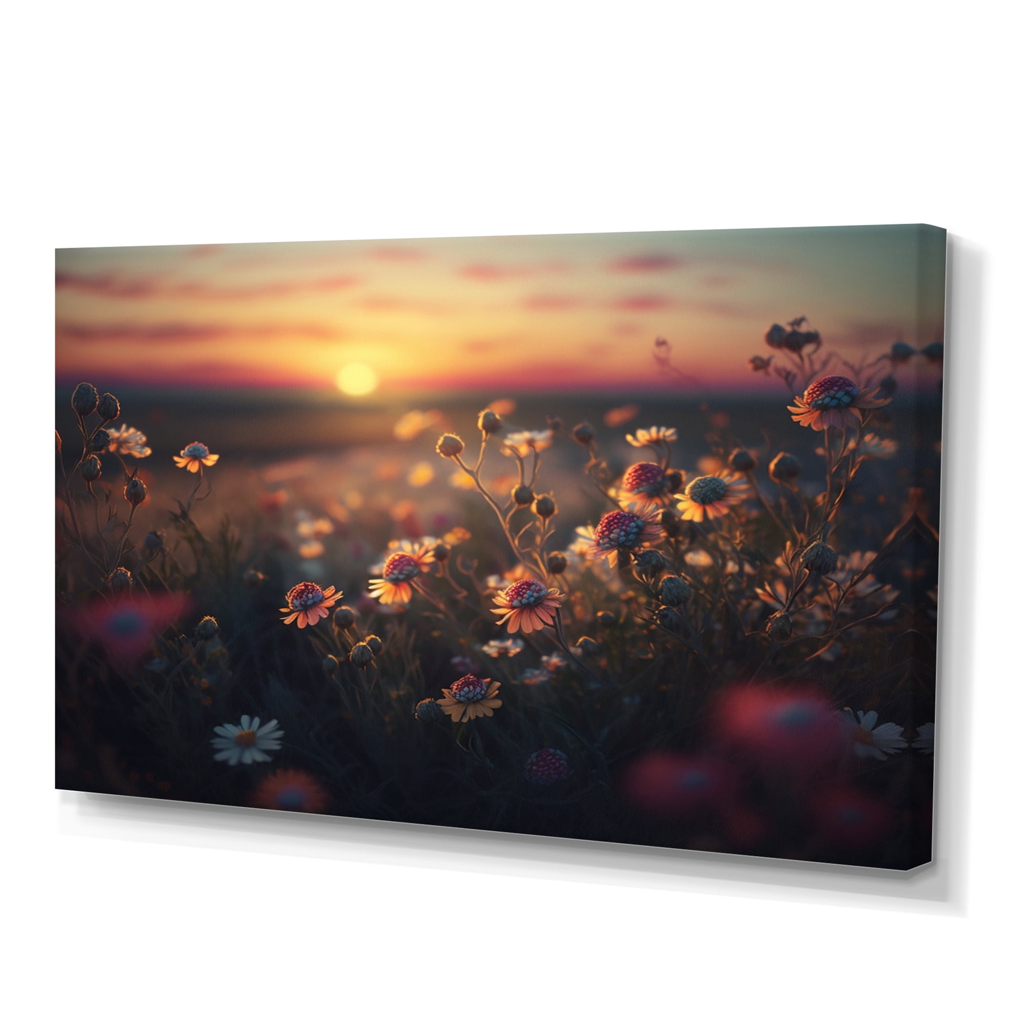 Designart Sunset Field Of Flowers III Canvas Wall Art