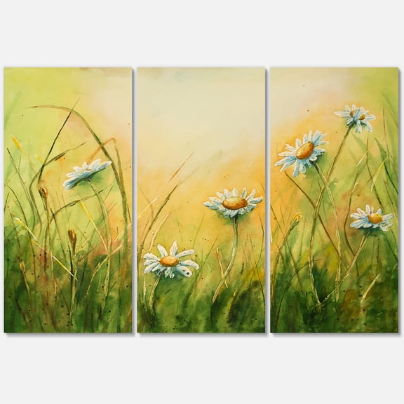 Designart ' Sunset Field With Herbs and Chamomiles ' Traditional Canvas Wall Art Print