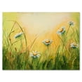thumbnail image 1 of Designart ' Sunset Field With Herbs and Chamomiles ' Traditional Canvas Wall Art Print, 1 of 4