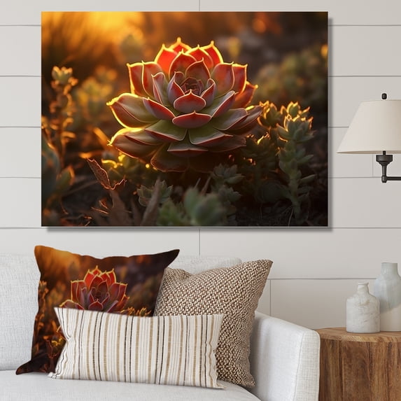 Designart "Sunset Glow Over Succulent Field II" Succulent Canvas Prints