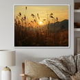 thumbnail image 1 of Designart "Sunset Over Fields" Birds Of Paradise Floater Framed Canvas Art Print, 1 of 5
