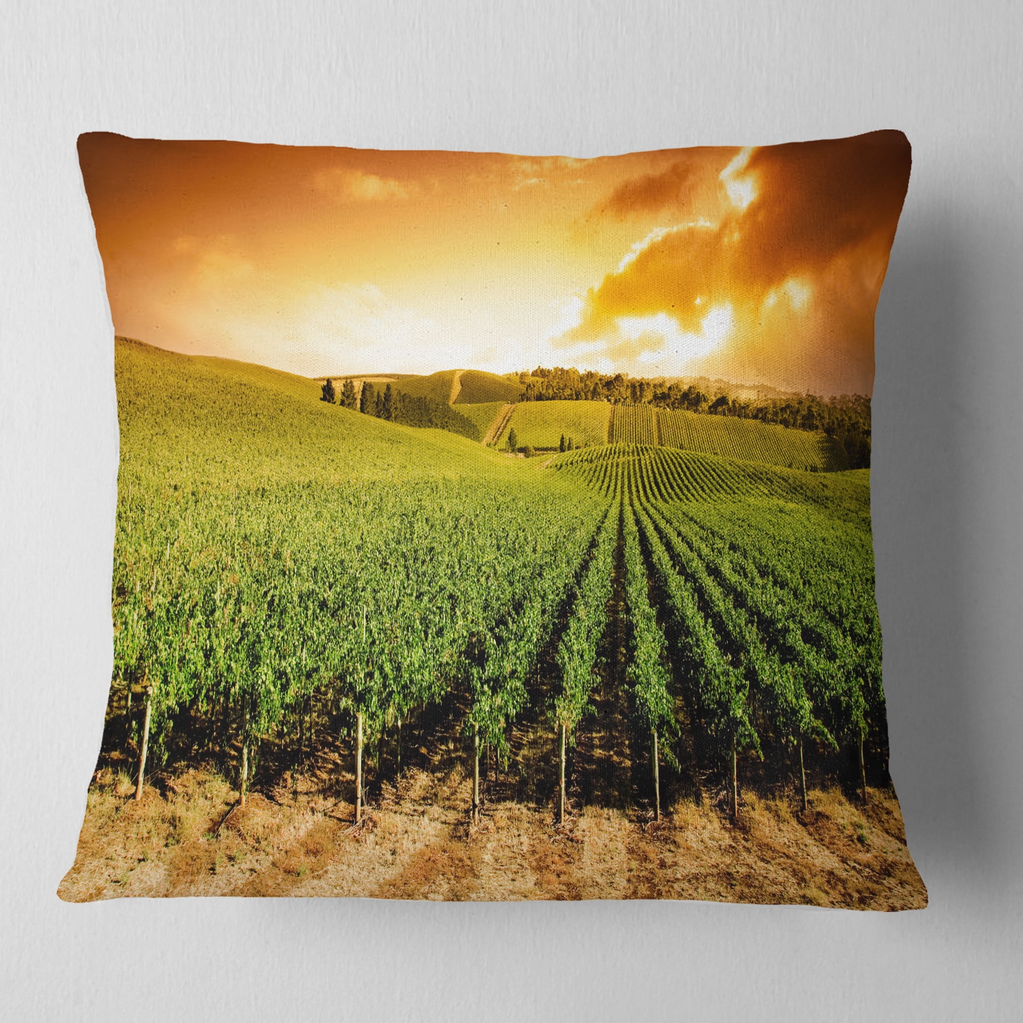 Designart Sunset Vineyard Panorama - Landscape Printed Throw Pillow - 16x16