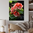thumbnail image 1 of Designart "Sunshine Pink Geraniums" Floral Canvas Wall Art - Traditional Pink Geraniums Hallway Wall Art Decor, 1 of 6