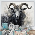 thumbnail image 1 of Designart "Supremacy Of The Black And White Ram II" Animals Goat Canvas Art Print, 1 of 7