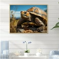 thumbnail image 1 of Designart "Symbolic Expressions" Animals Turtle Floater Framed Wall Decor, 1 of 5