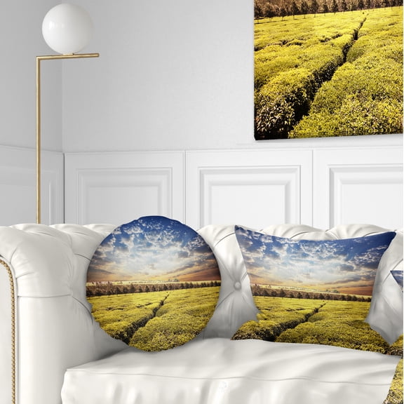 Designart Tea Plantation under Cloudy Sky - Landscape Wall Throw Pillow - 12x20