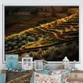 thumbnail image 1 of Designart "Texas Dusk Succulent Scene I" Succulent Floater Framed Wall Art Living Room, 1 of 5