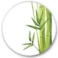 thumbnail image 1 of Designart 'The Forest of Bamboo Branches V' Tropical Circle Metal Wall Art 29x29 - Disc of 29, 1 of 5