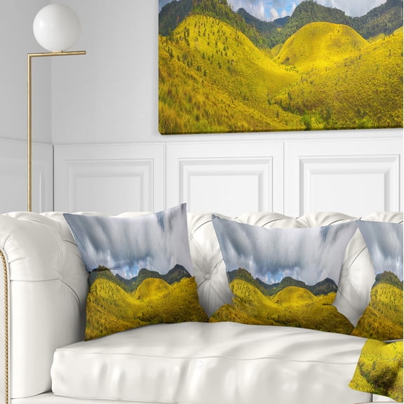 Designart The Horton Plains - Landscape Painting Throw Pillow - 18x18
