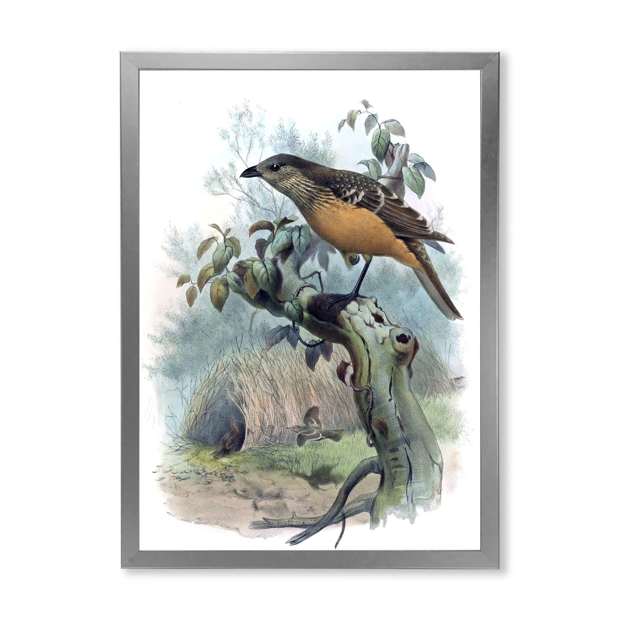 Designart 'The Paradise Birds on a Tree Branch' Traditional Framed Art Print