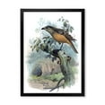 thumbnail image 1 of Designart 'The Paradise Birds on a Tree Branch' Traditional Framed Art Print, 1 of 4