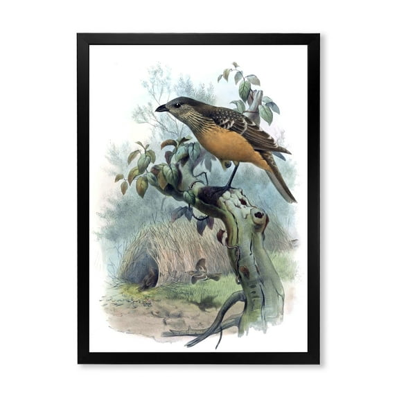 Designart 'The Paradise Birds on a Tree Branch' Traditional Framed Art Print