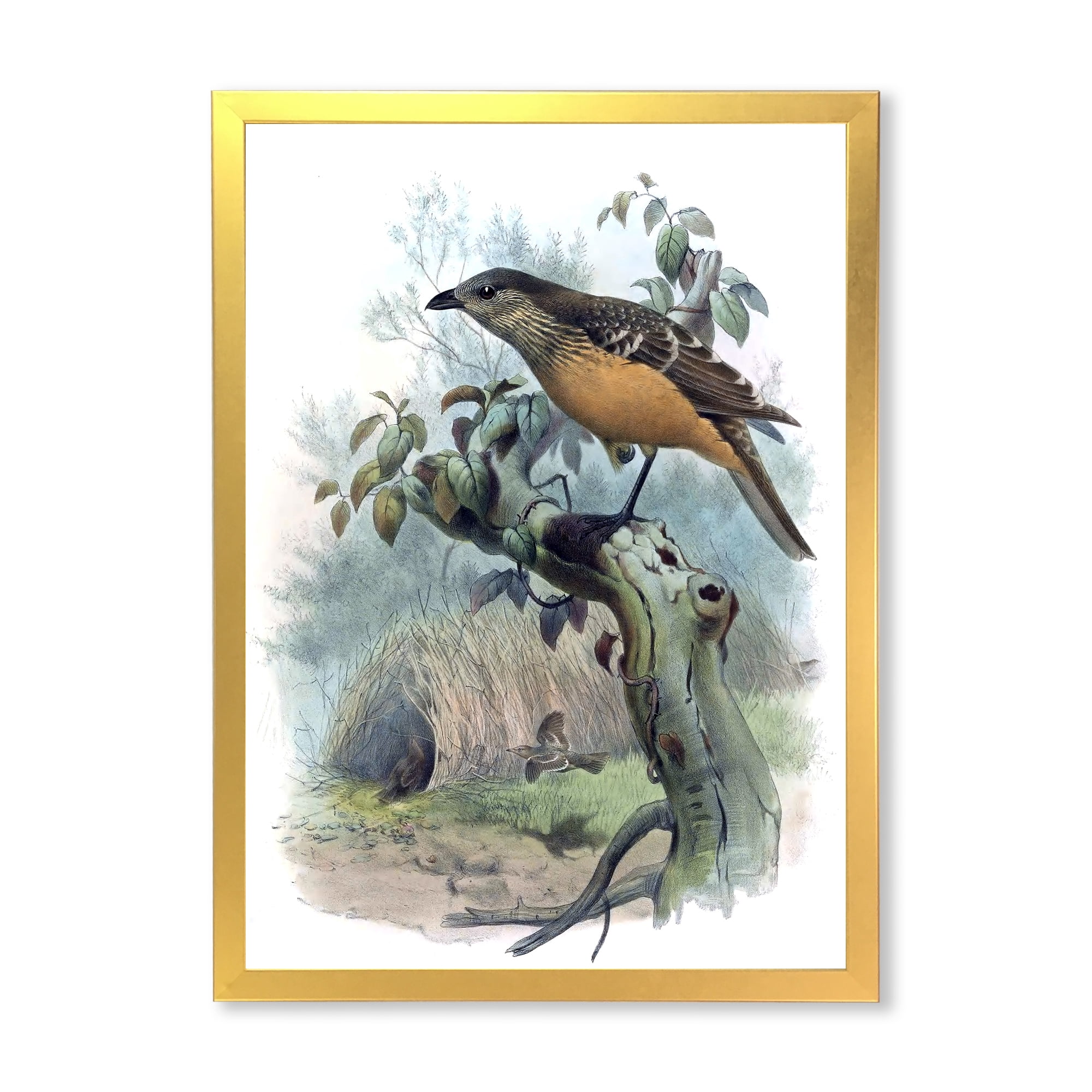 Designart 'The Paradise Birds on a Tree Branch' Traditional Framed Art Print
